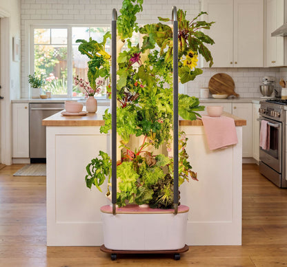 Gardyn Home Hydroponic System