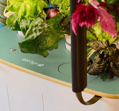 Gardyn Home Hydroponic System