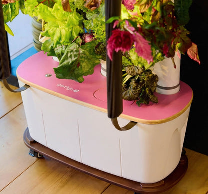 Gardyn Home Hydroponic System