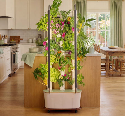 Gardyn Home Hydroponic System