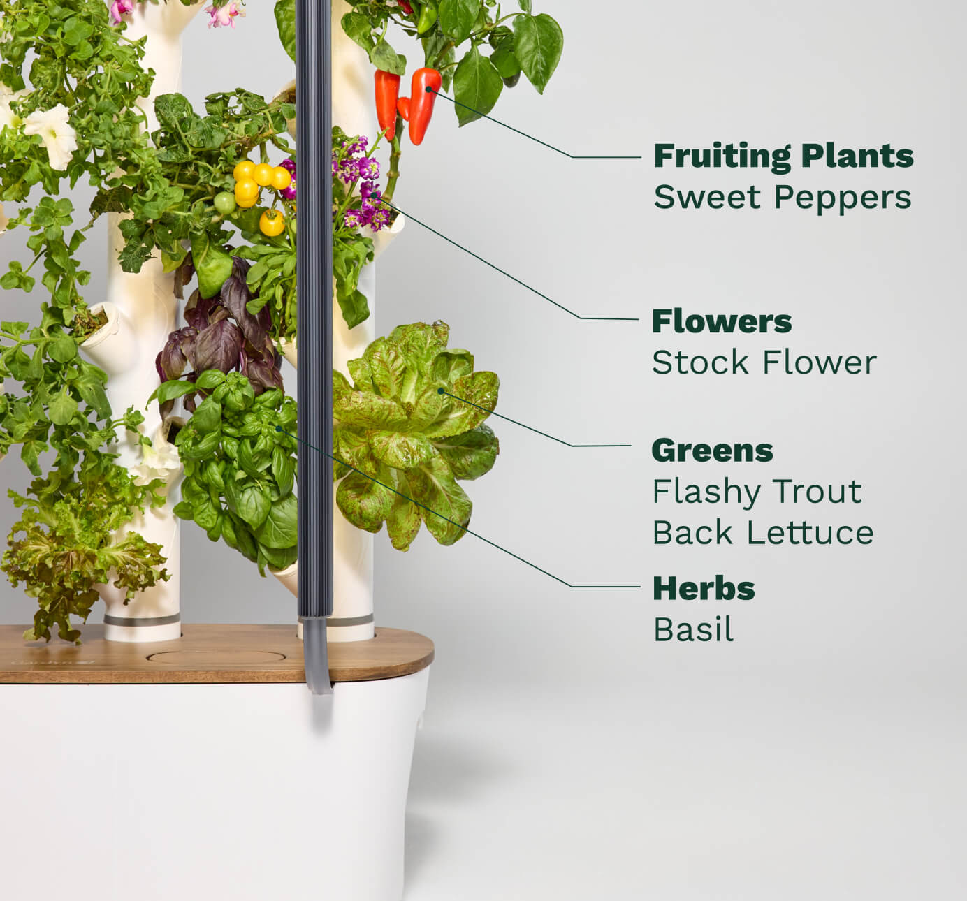 Gardyn Home Hydroponic System