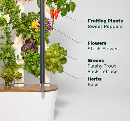 Gardyn Home Hydroponic System