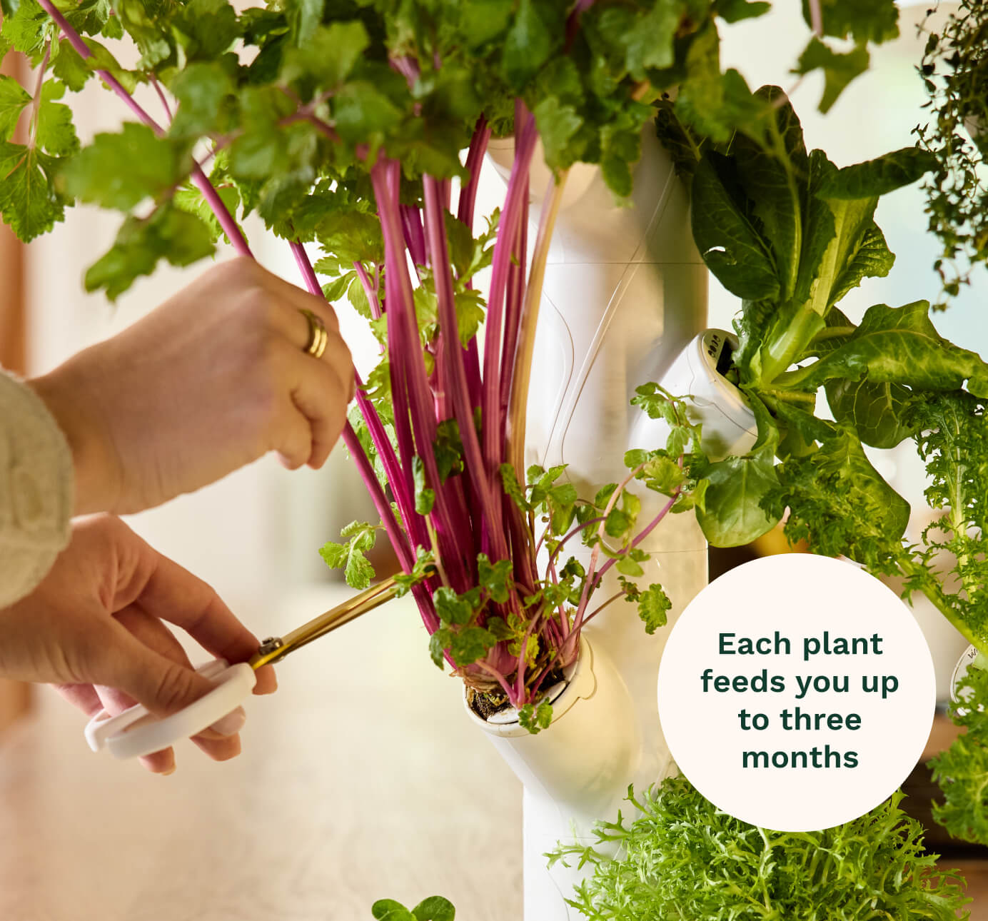 Gardyn Home Hydroponic System