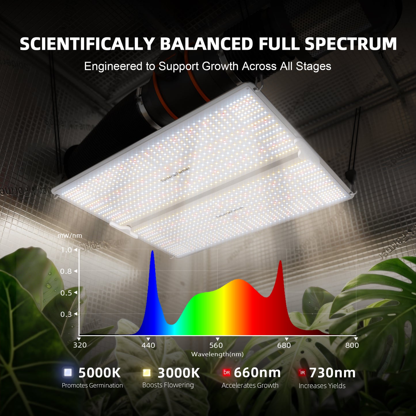 Spider Farmer SF4000 LED Grow Light
