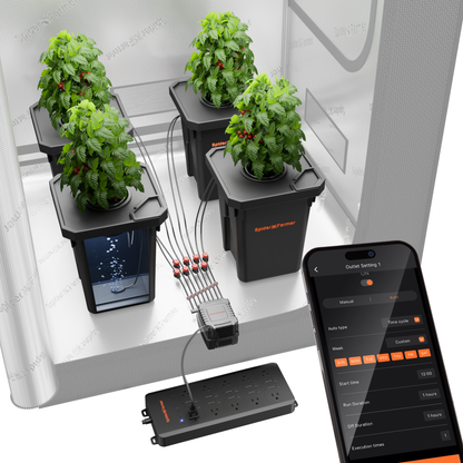 4 Bucket DWC Hydroponic Growing System