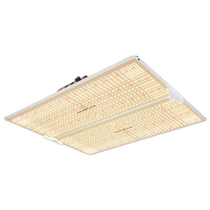 Spider Farmer SF4000 LED Grow Light
