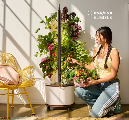 Gardyn Studio
